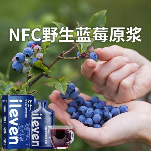 【大兴安岭有机野生蓝莓原浆】 NFC蓝莓原浆 花青素焕活眼动力 喝出清亮好视力 护眼不用愁 商品图0