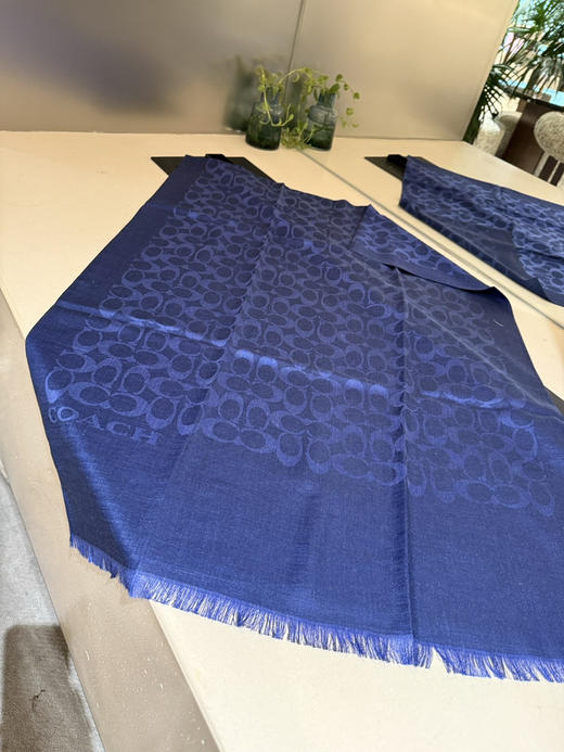 秋冬特惠💰320 蔻驰经典款围巾/大披肩 商品图2