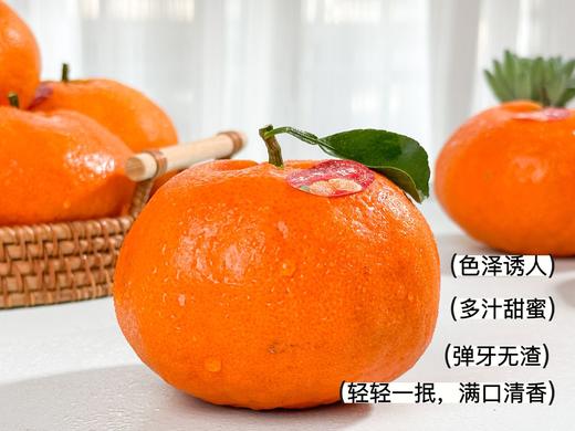 【甘平柑橘】四川甘平柑橘  柑橘皇后 当季鲜果 整箱发货 团购礼盒 商品图4