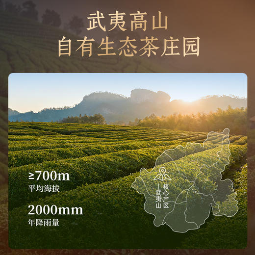 华祥苑 金御 肉桂 武夷山岩茶 茶叶 年货礼盒 商品图4