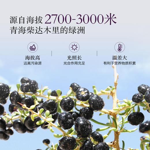 【大眼睛-3月】羽心堂 红枸杞原浆/黑枸杞原浆 商品图2