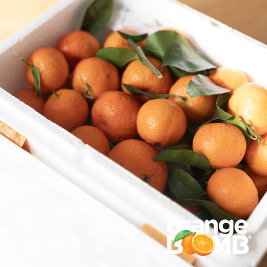广西漓江生态砂糖橘 自然生长风味浓 9甜1酸  顺丰快递 商品图5