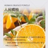 EcoBasics人间橘柚香氛植萃洗发水沐浴露护发素润肤酒店专用同款 商品缩略图1