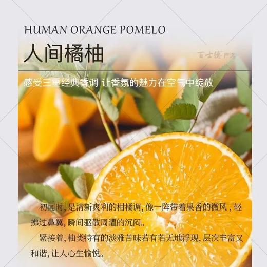 EcoBasics人间橘柚香氛植萃洗发水沐浴露护发素润肤酒店专用同款 商品图1