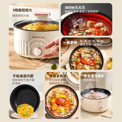 志高电煮锅电火锅多功能电热锅一体锅家用电蒸锅宿舍鸳鸯小火锅 商品图1