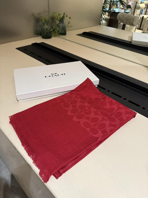 秋冬特惠💰320 蔻驰经典款围巾/大披肩 商品图0