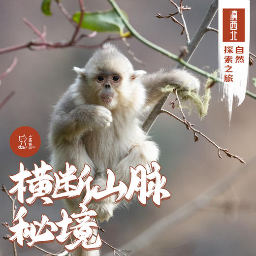 「错峰」横断山脉秘境·滇西北自然探索之旅 商品图0