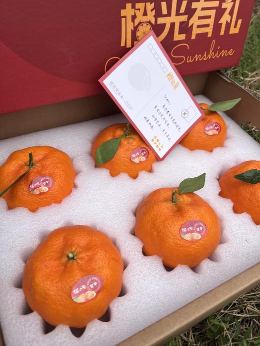 【甘平柑橘】四川甘平柑橘  柑橘皇后 当季鲜果 整箱发货 团购礼盒 商品图7