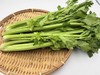 自产/有机种植  西芹 商品缩略图1