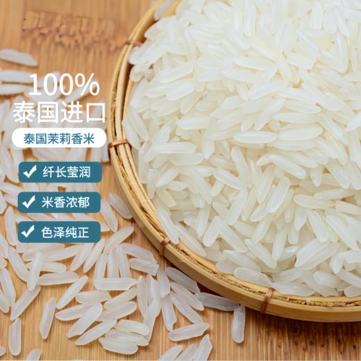 泰泰福口 臻选茉莉香米5kg 商品图2