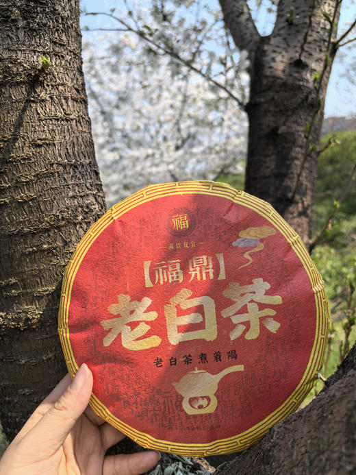 吐血清仓，福鼎2014年老贡眉买一送一，加赠陈皮秒杀组合 商品图1