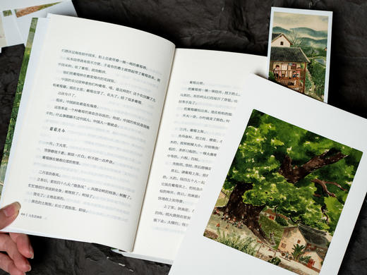 《我与人间闲话片刻》（全3册）|汪曾祺治愈三书，写尽生活的好玩，文字暖心、百读不厌，精美函套和三大赠礼，当你觉得人生无趣，就读读汪曾祺 商品图3