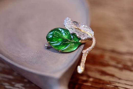 双生叶 商品图4