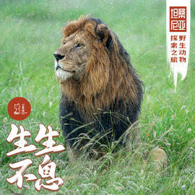 「2027春节」生生不息 · 坦桑尼亚自然发现之旅