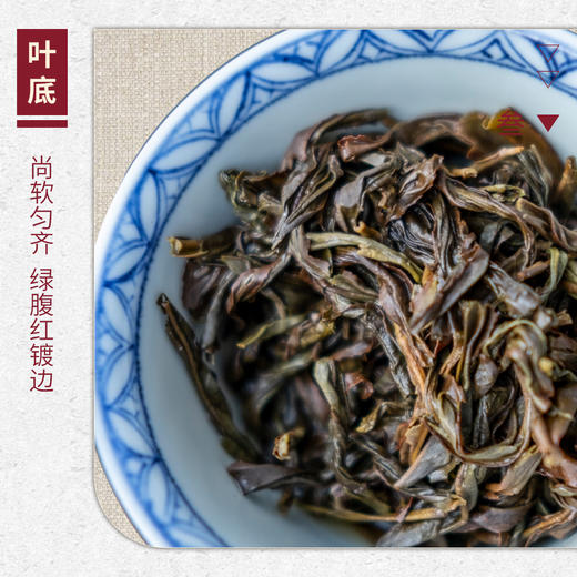 【山纯限品】2025年单丛系列032黑蚂蚁25g 商品图4