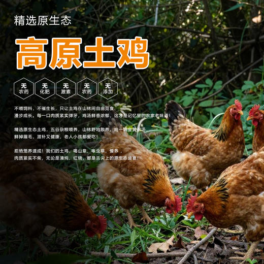 云南绿星斋清真原切风干鸡肉 非油炸200克 商品图1