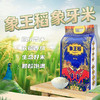 云南西双版纳特产象王稻-象牙米5kg 商品缩略图0