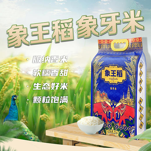 云南西双版纳特产象王稻-象牙米5kg 商品图0
