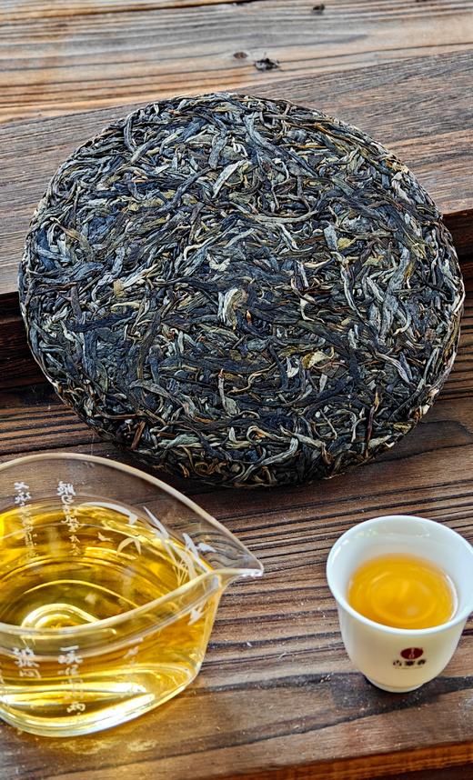 【须立贡茶茶王级大单株】2025年古树春茶秘境墨江：须立贡茶，重现人间！普洱墨江被低估的历史皇家贡茶357克/饼 商品图2