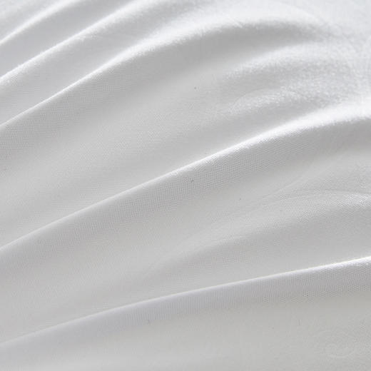 罗莱 A类防螨抗菌对枕 商品图6