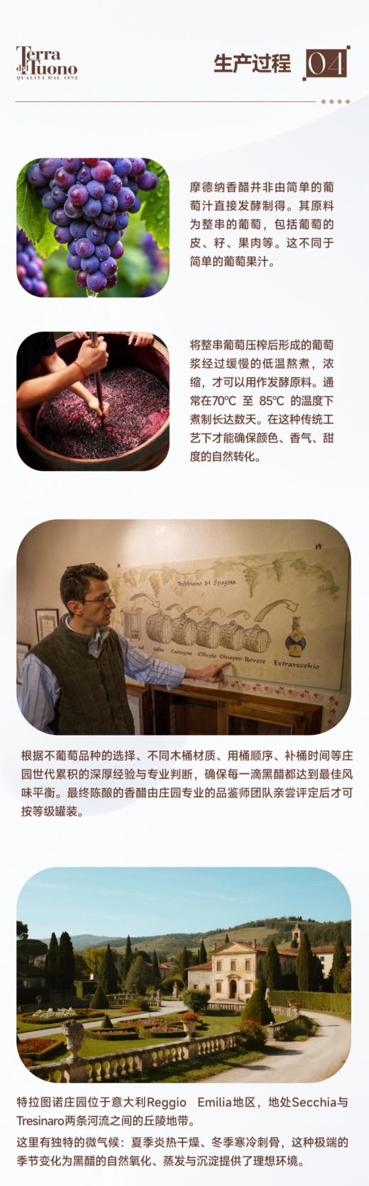 意大利摩德纳 有机黑香醋 百年Terra Del Tuono特拉图诺 古法工艺 木桶陈酿 自然熟成 无添加 保税仓直邮  |百里食 商品图5