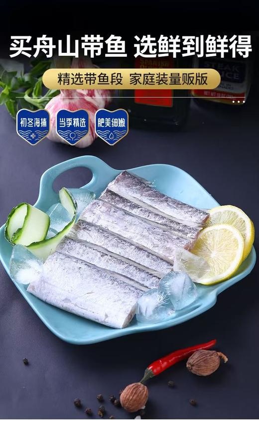 鲜到鲜得舟山带鱼450克 商品图0