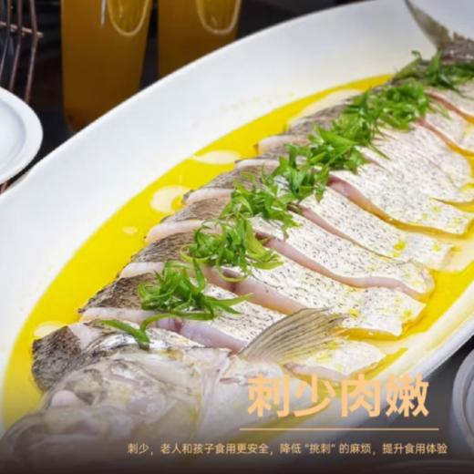 京鱼跃  水库大白鱼600g*3（半片淡腌） 商品图2