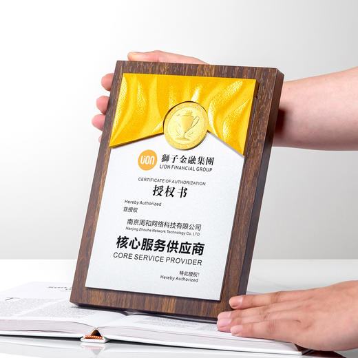 授权牌实木3D勋章优秀员工加盟代理悬挂摆放刻字奖牌奖杯合作牌匾 商品图2
