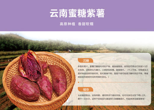 云南高原蜜糖紫薯（软糯香甜）4斤 商品图7