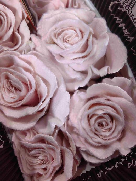 厄瓜多尔进口染色玫瑰花velvet rose gold粉色天鹅绒10支 商品图3