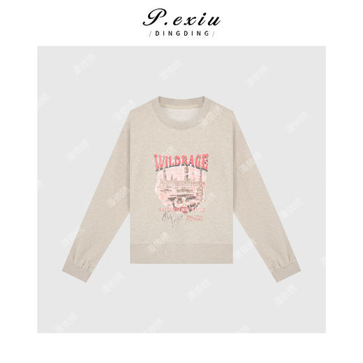04-6潘依绣丁丁宠粉美式复古印花舒适休闲圆领长袖卫衣 W-62388 商品图1