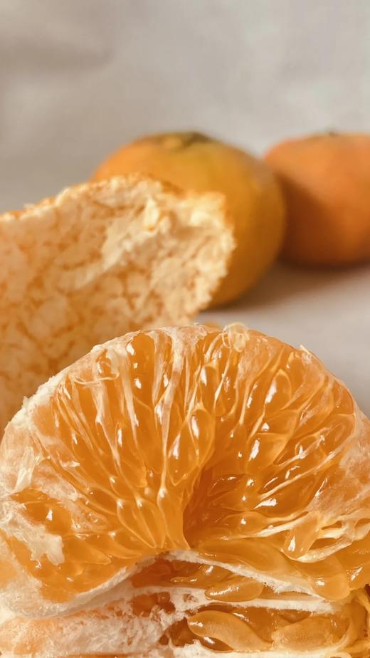 最贵柑橘就是它曾经100元一斤四川甘平 商品图3