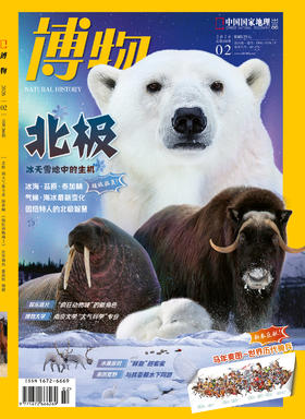 《博物》202602 北极专题+超级拉页 特别策划 北极：并不遥远的“世界尽头”