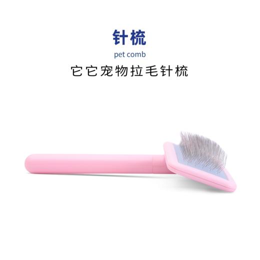 TAA它它宠物专美容去浮毛开结精灵针梳 商品图2