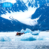 北极童话 盛夏光年｜斯瓦尔巴群岛探险  中国科学探险协会独家包船  13日 商品缩略图4