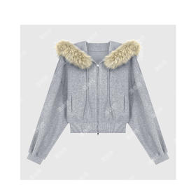 04-2潘依绣丁丁宠粉韩系松弛减龄连帽长袖卫衣外套Q15948