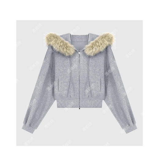 04-2潘依绣丁丁宠粉韩系松弛减龄连帽长袖卫衣外套Q15948 商品图0