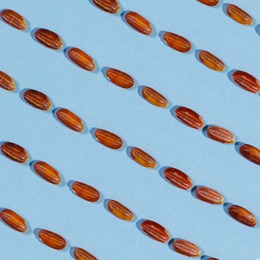 【新品】溢田有机红米970g 商品图2