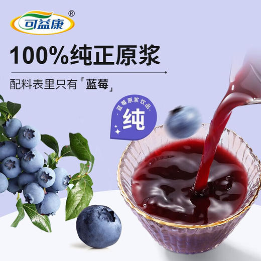 可益康蓝莓原浆饮品300ml 商品图1