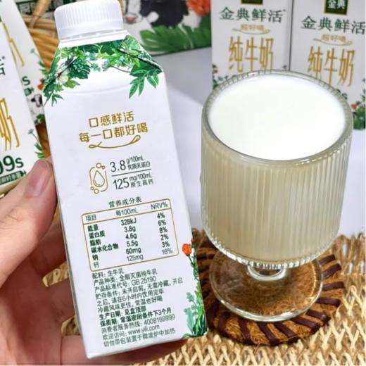 伊利金典 (鲜活)纯牛奶250ml 商品图2