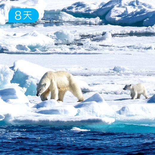 北极童话 盛夏光年｜斯瓦尔巴群岛探险  中国科学探险协会独家包船  13日 商品图0