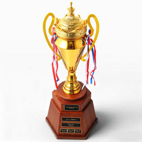 金属奖杯超大实木底座高档足球年会团队荣誉年会企业刻字新款奖牌
