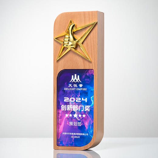 奖杯定制创意高档大气送优秀员工老师纪念品退休实木水晶奖牌 商品图6