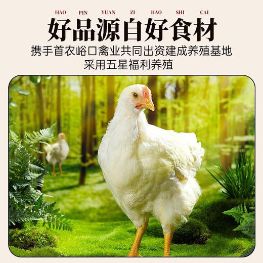 乡府椒麻鸡600g 商品图2