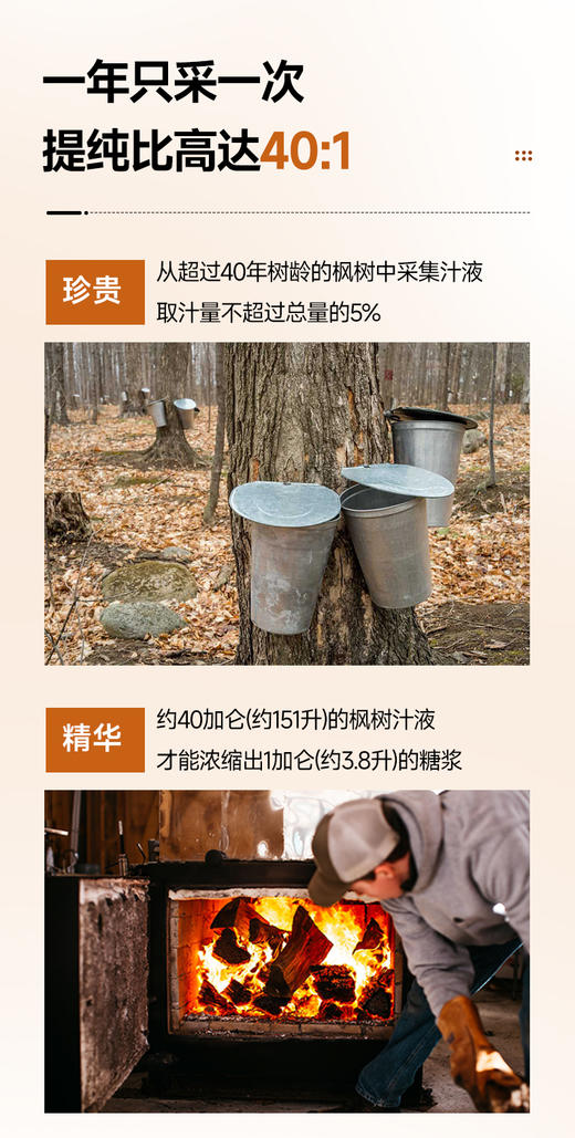 伯纳德有机枫糖浆 比蜂蜜含糖量还要低 天然有机代糖 加拿大有机认证 无任何添加 保税仓直邮 加拿大国宝  | 百里食 商品图6