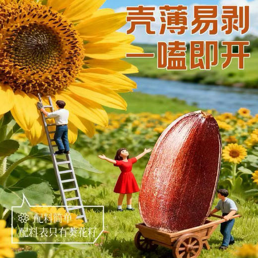 【水果瓜子】云南红皮瓜子 源自云贵高原 软糯香甜 越嗑越香 好吃不上火  春节年货坚果之选 102克/袋 商品图3