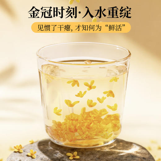 草木方冻干桂花40g 【金冠级】头茬新花桂林原产鲜桂花干泡酒花草养生茶 商品图6