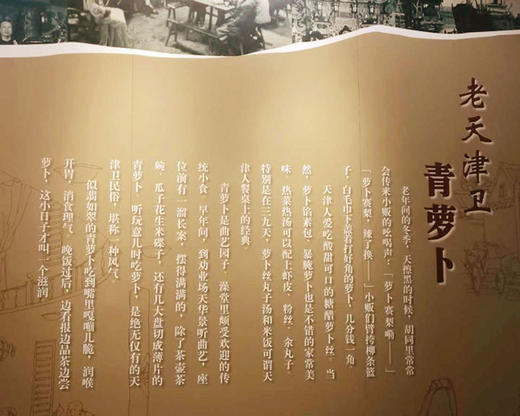 沙窝萝卜 商品图1