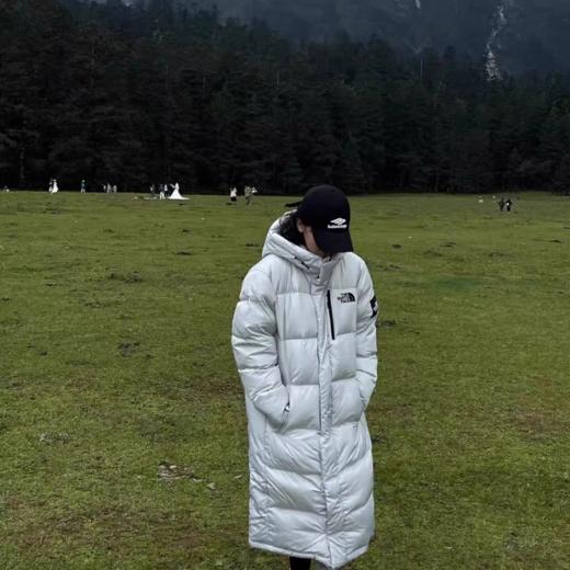【授权齐全 奥莱仓发货 大朵鹅绒 防泼防风 保暖有型】The North Face 北面1996经典款羽绒服情侣短款（海外版本，生产地也是海外，授权和品质没问题，上海/福州奥莱仓发货，介意慎拍） 商品图6