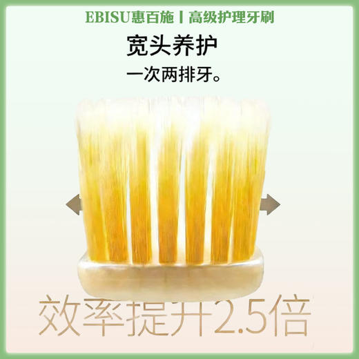 EBISU惠百施牙刷 软毛成人宽头细毛超软型号 51 【一般贸易仓发货】 商品图1